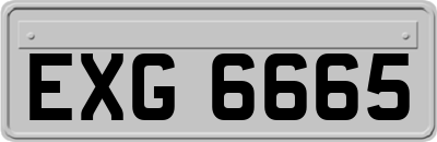 EXG6665