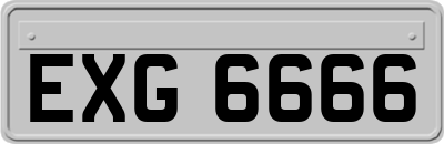EXG6666