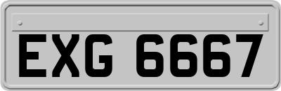 EXG6667