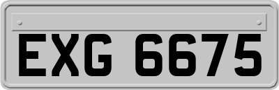 EXG6675