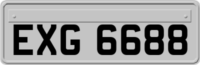 EXG6688