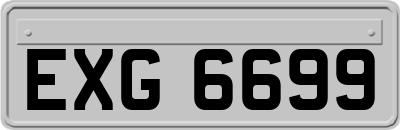 EXG6699