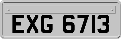 EXG6713
