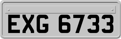 EXG6733