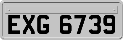 EXG6739