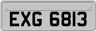 EXG6813