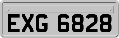 EXG6828