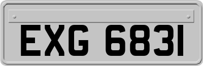 EXG6831