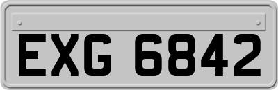 EXG6842