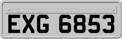 EXG6853