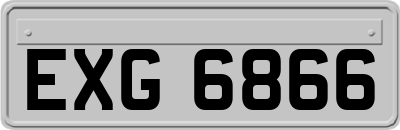 EXG6866