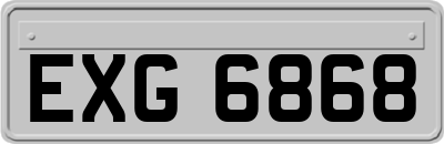 EXG6868