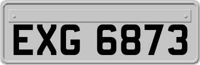 EXG6873