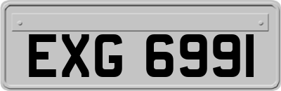 EXG6991