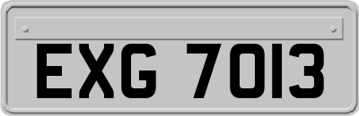 EXG7013