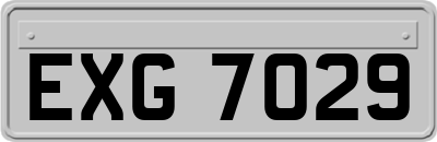 EXG7029