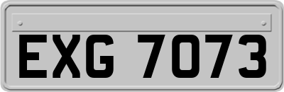 EXG7073