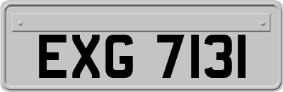 EXG7131