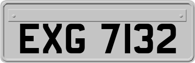EXG7132
