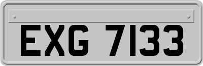 EXG7133