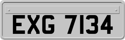 EXG7134