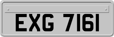 EXG7161