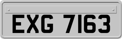 EXG7163