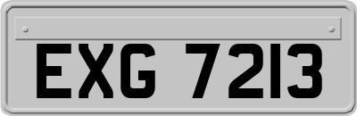 EXG7213