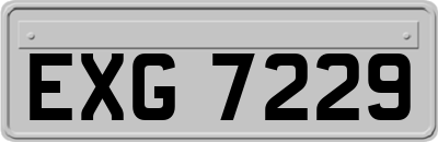 EXG7229