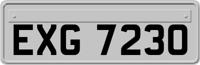 EXG7230