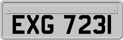 EXG7231