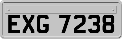 EXG7238