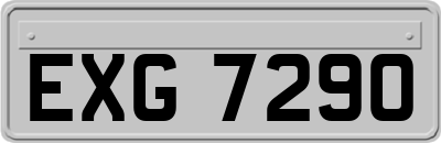 EXG7290