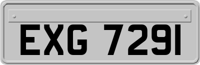 EXG7291