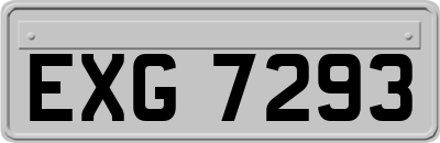 EXG7293