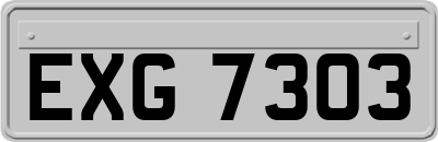 EXG7303
