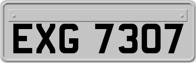 EXG7307