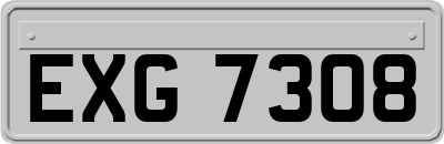 EXG7308