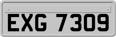 EXG7309