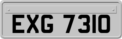 EXG7310