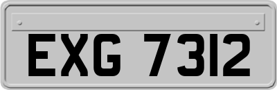 EXG7312