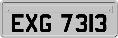 EXG7313
