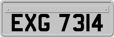 EXG7314