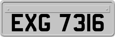 EXG7316