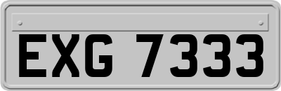 EXG7333