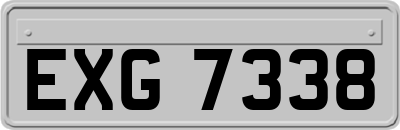 EXG7338