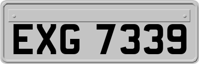 EXG7339