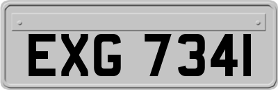 EXG7341