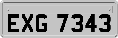 EXG7343