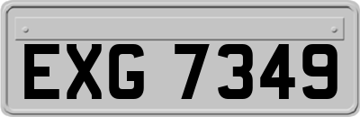 EXG7349